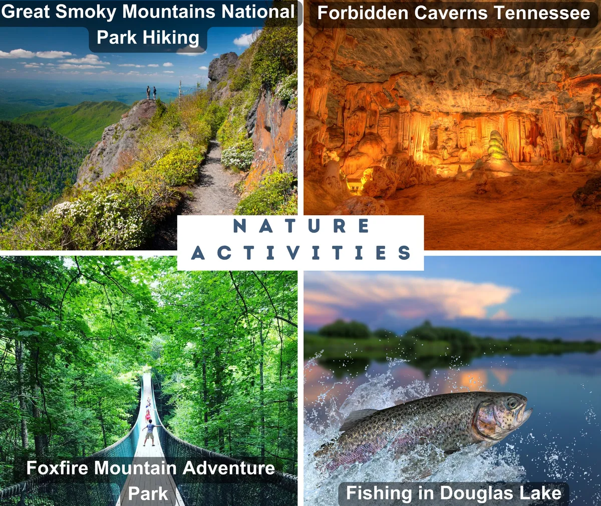 A panoramic exterior shot showcasing the Great Smoky Mountains, nearby adventure parks, and Douglas Lake, evoking a sense of open-air adventure and natural beauty. Trails, parks, and lakes beckon exploration and outdoor fun for guests and their furry companions.